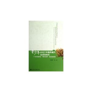 青少年社会工作服务模式及成效研究-广州市海珠区青年地带的实践探索-技术教育社区