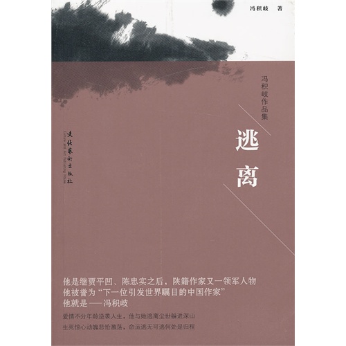 逃离-冯积岐作品集