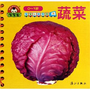 0-3岁-蔬菜-宝宝认知早教书-技术教育社区