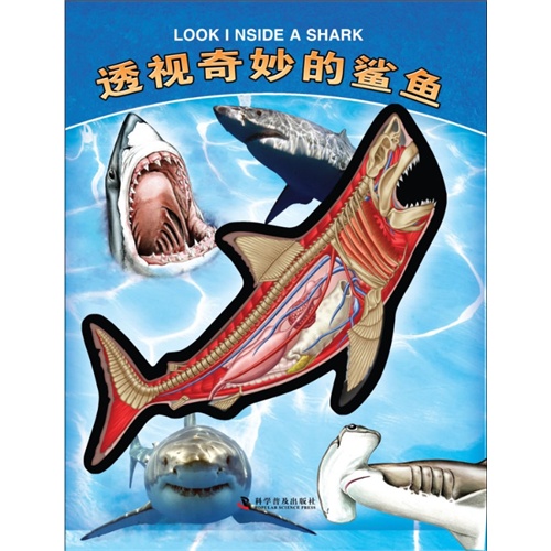 透视奇妙的鲨鱼-有趣的透视立体书