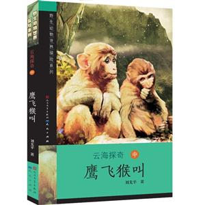 鹰飞猴叫-云海探奇-中-技术教育社区
