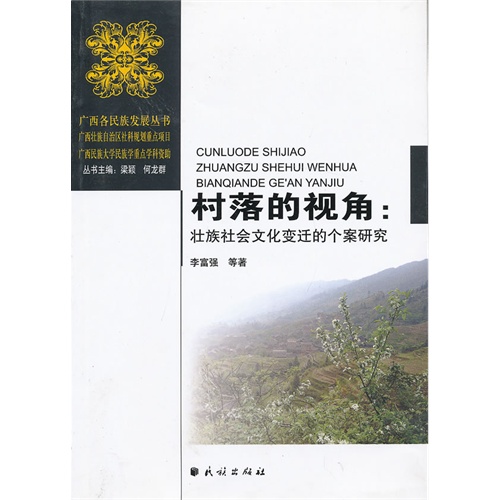 村落的视角-壮族社会文化变迁的个案研究