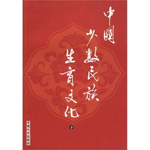 中国少数民族生育文化下-技术教育社区