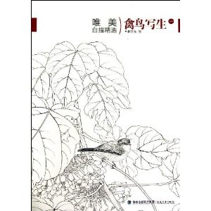 禽鸟写生-唯美白描精选-一
