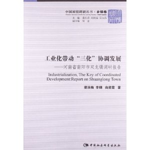 工业化带动三化协调发展-河南省南阳市双龙镇调研报告