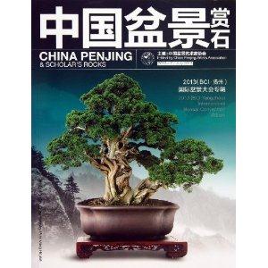2013.7-中国盆景赏石-技术教育社区