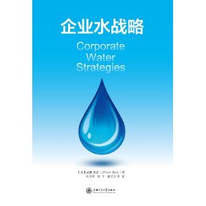 企业水战略