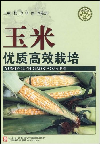 玉米优质高效栽培