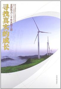 寻找真实的成长-龙源电力二十年发展之路-技术教育社区