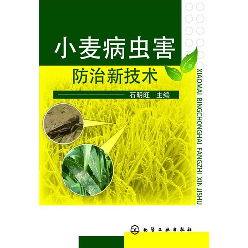 小麦病虫害防治新技术