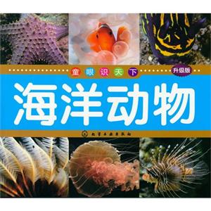 海洋动物-童眼识天下-升级版-技术教育社区