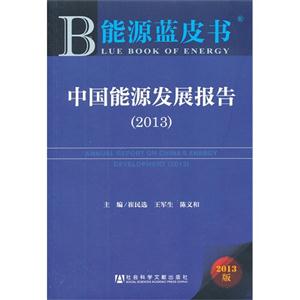 2013-中国能源发展报告-能源蓝皮书-2013版-技术教育社区