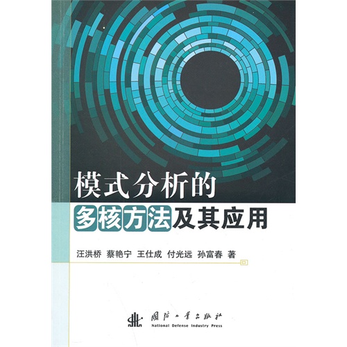 模式分析的多核方法及其应用