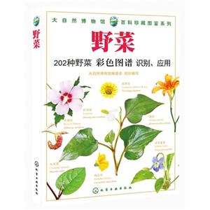 野菜-技术教育社区