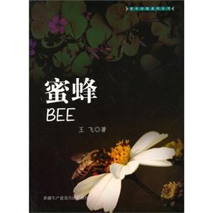 蜜蜂-技术教育社区