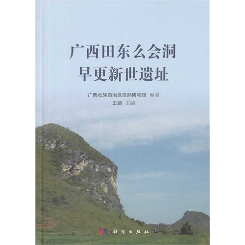 广西田东么会洞早更新世遗址
