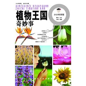 植物王国奇妙事-小小科学馆-技术教育社区
