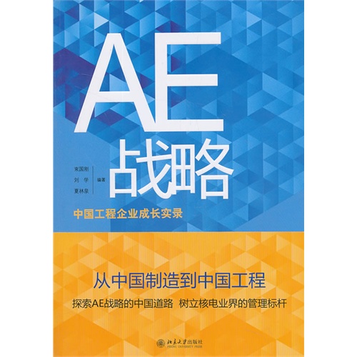 AE战略-中国工程企业成长实录