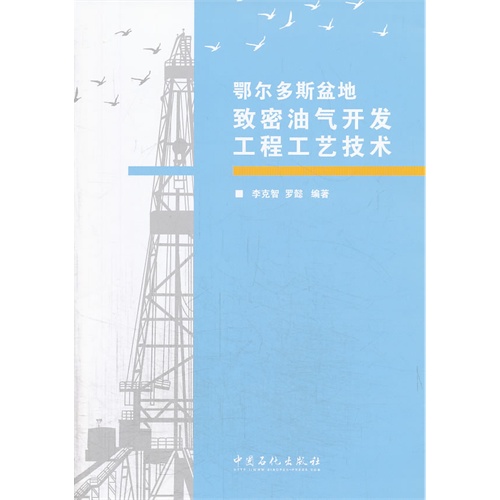 鄂尔多斯盆地致密油气开发工程工艺技术