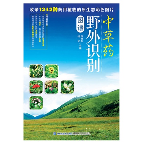 中草药野外识别图谱