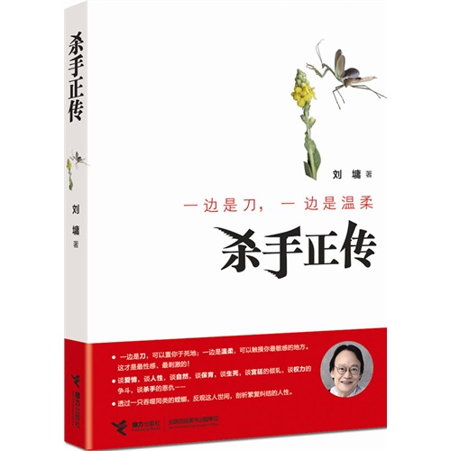 杀手正传
