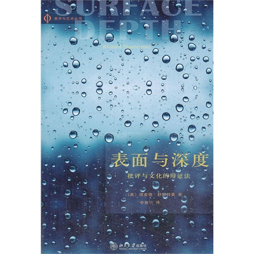 表面与深度-批评与文化的辩证法