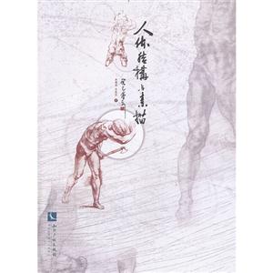 人体结构与素描-技术教育社区