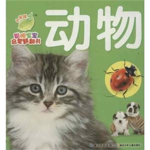 动物-聪明宝宝启蒙翻翻书-技术教育社区