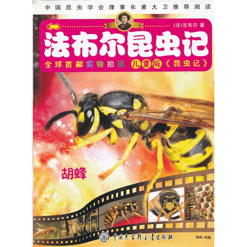 胡蜂-法布尔昆虫记