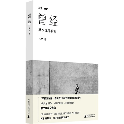曾经-林夕九零前后