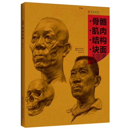 骨骼.肌肉.结构.块面-国美格调