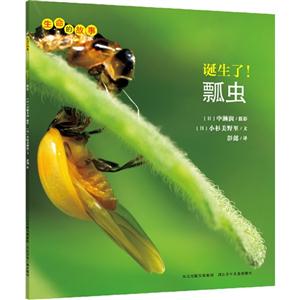 生命的故事:诞生了！瓢虫-技术教育社区