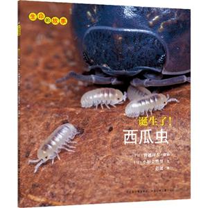 生命的故事:诞生了！西瓜虫-技术教育社区