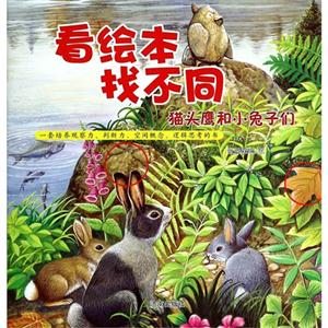 猫头鹰和小兔子们-看绘本找不同-技术教育社区