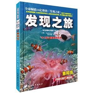 鱼和鸟-发现之旅-技术教育社区