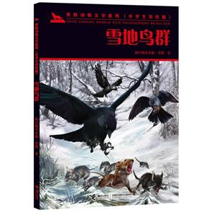 雪地鸟群-技术教育社区