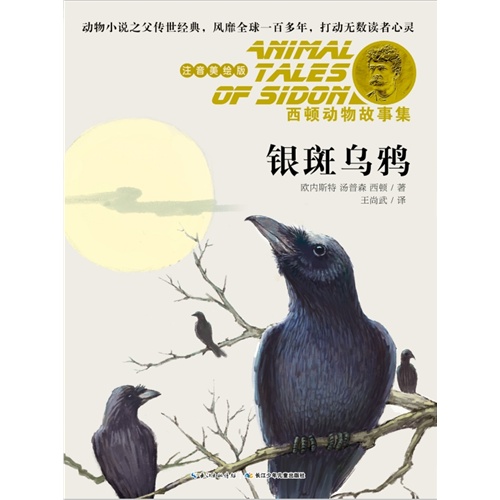 银斑乌鸦-西顿动物故事集-注音美绘版