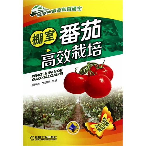 棚室番茄高效栽培-高效种植致富直通车