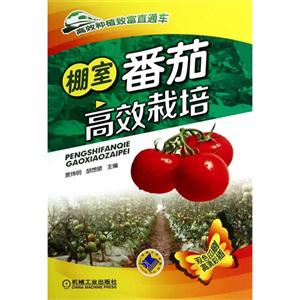 棚室番茄高效栽培-高效种植致富直通车-技术教育社区