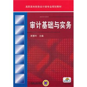 审计基础与实务-技术教育社区