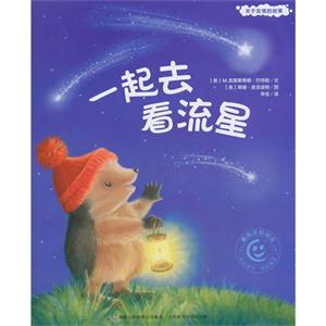 一起去看流星-关于友情的故事-技术教育社区