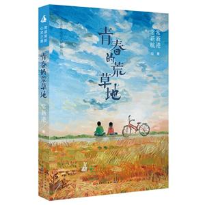 常新港经典长篇系列:青春的荒草地-技术教育社区