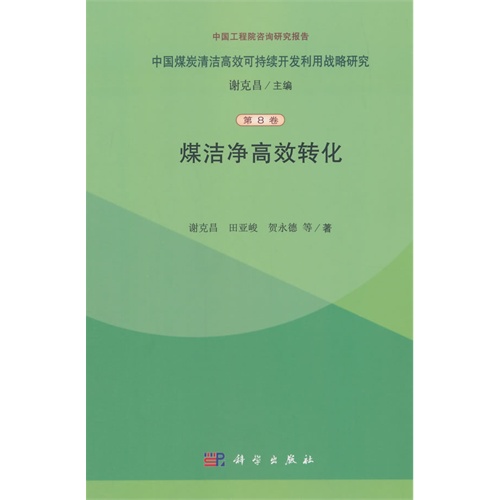 煤洁净高效转化-中国煤炭清洁高效可持续开发利用战略研究-第8卷