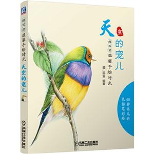 天空的宠儿-超写实温馨手绘时光-技术教育社区