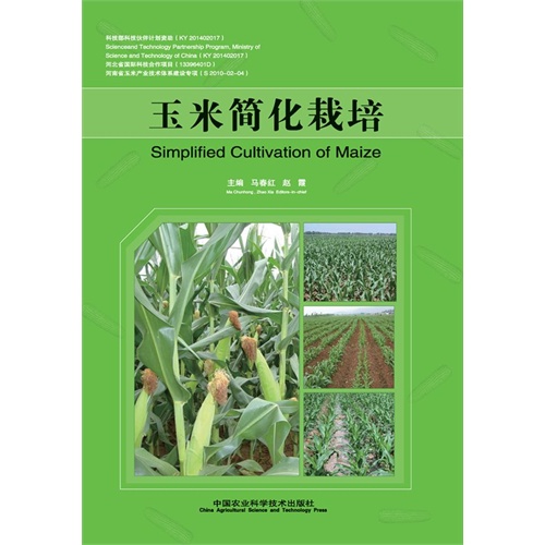 玉米简化栽培