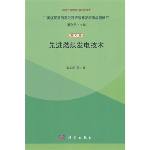 先进燃煤发电技术-中国煤炭清洁高效可持续开发利用战略研究-第6卷