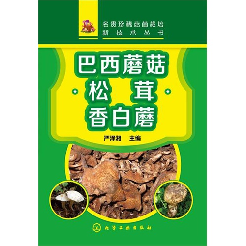 巴西蘑菇.松茸.香白蘑