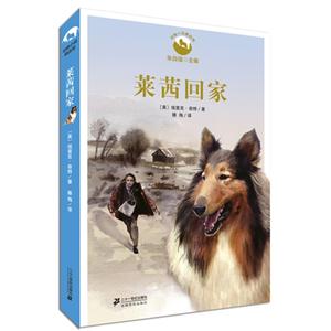 莱茜回家-技术教育社区