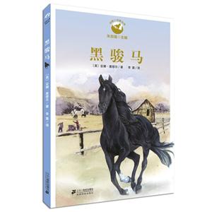 黑骏马-技术教育社区