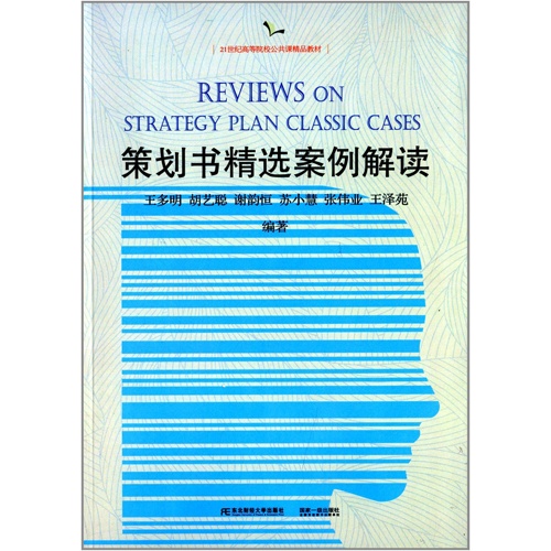 策划书精选案例解读
